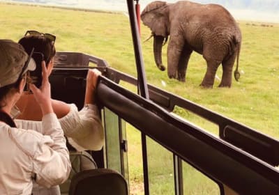 3  Days Safari to Tarangire, Ngorongoro & Manyara 2