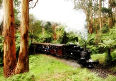 Puffing Billy Half-Day Tour from Melbourne 2