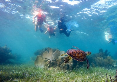 Private Puerto Morelos Reef Snorkeling 2