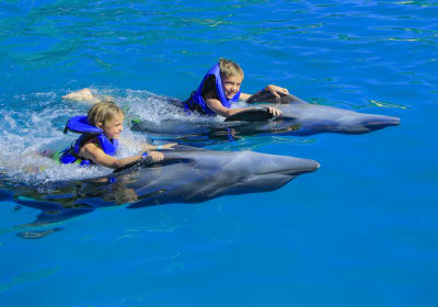 Las Caletas & Dolphin Swim Tour 2