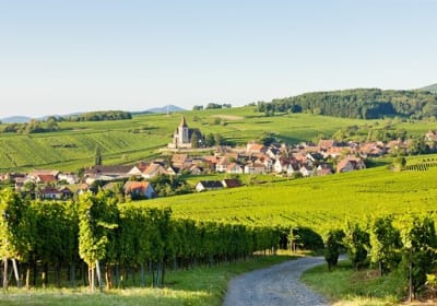 3 Days Alsace Small Group Day Trips from Strasbourg (shared) 2