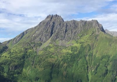 Juneau Shore Excursion: Exclusive Pack Creek Bear Viewing from Juneau 2