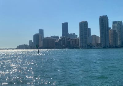 Miami: 90-Minute Skyline & South Beach Millionaire Homes Cruise & Hard Rock Meal 2