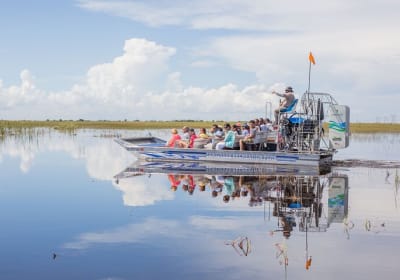 Combo:Miami City Sightseeing,90 Min Biscayne Bay Cruise+Everglades Airboat Tour  2