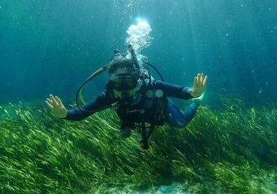 SCUBA Diving Lesson in Crystal River (Rainbow River Dive) 2