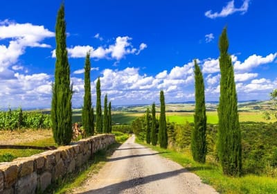 Full day private tour to Chianti wine region from Florence 2