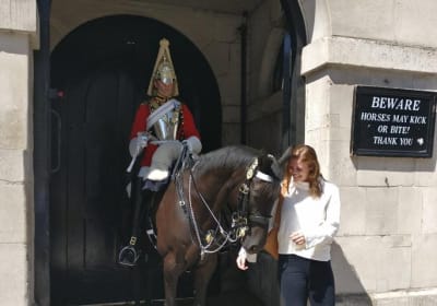 Private Tour - London in a Day 2