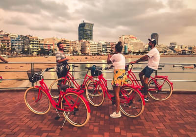 Las Palmas: Gastro-Bike Tour  2