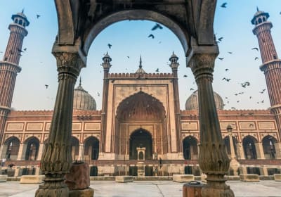  Private Golden Triangle Delhi Agra Jaipur with Ranthambore 2