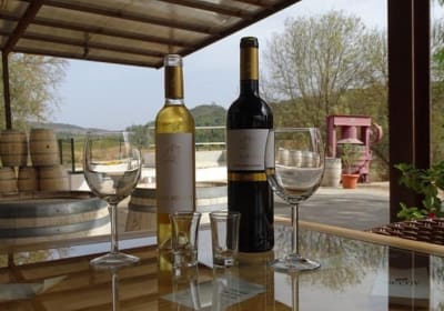 Arrábida Palmela Azeitão (Wine and Tapas) Private Tour 2