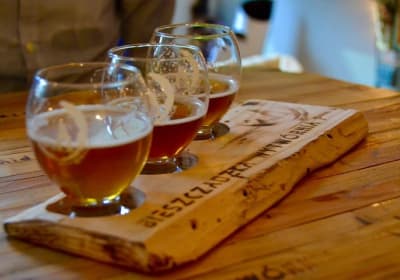 Krakow 3-Hour Craft Beer Tour 2