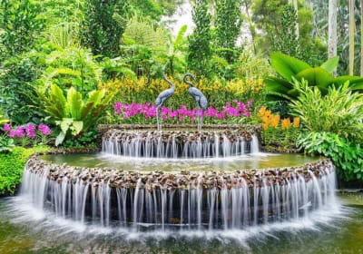 Private Half Day Singapore City Tour with Botanical Orchid Garden 2