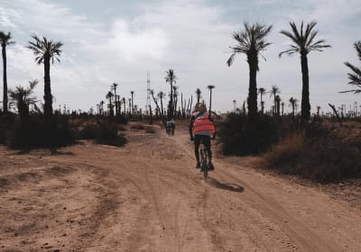Desert & Oasis Bike tour in La Palmeraie of Marrakech 2