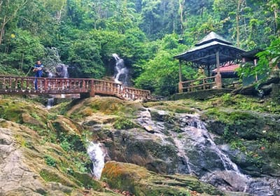Templer’s Park Tour (SIC Tour) 2