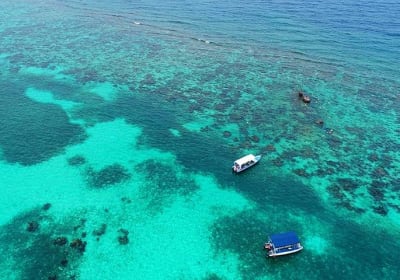 Roatan North Side Mangroves, Starfish, Shipwreck Snorkeling & Transportation 2