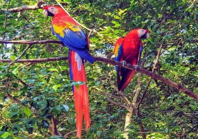 From Winter to Roatan Summer Vibes Private Tour 2