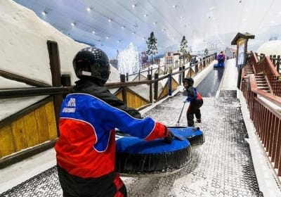 Half Day Private Snow Classic Dubai - Ticket + Transfer 2