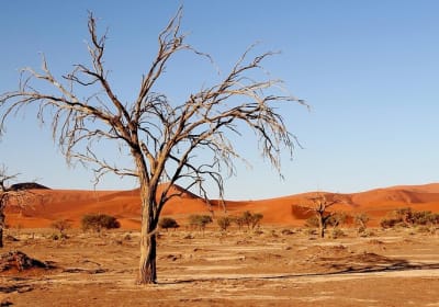 2 Day Sossusvlei Safari Tour Namibia (Camping) 2