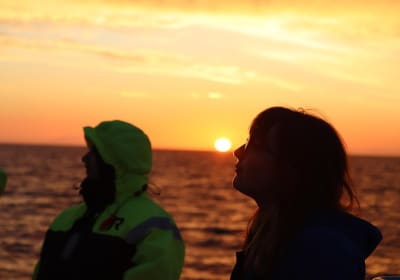 Midnight Sun Whale Watching from Reykjavik 2