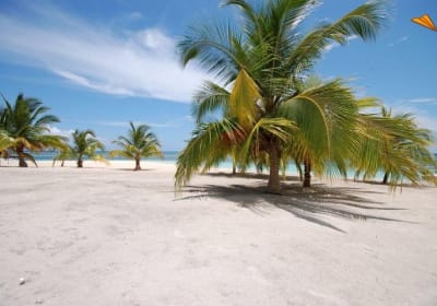 Vacation at Saona Island 2