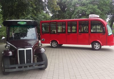 Breslau Rundfahrt mit E-Auto, 2 h (English-Guide) Gruppe 5-6 Personen 2