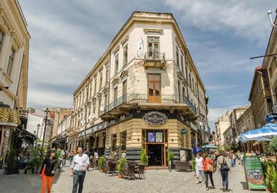 Private Bucharest city tour visit the Palace of the Parliament & Village Museum  2