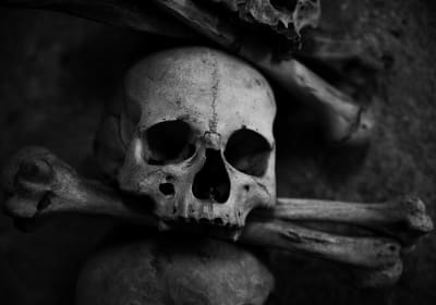 The Ghosts of Key West Family Friendly Walking Tour 2