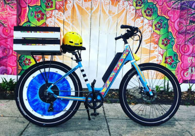Architecture and Electric Bike Art Guided Tour in Jacksonville 2