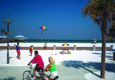 Sea Screamer Boat Cruise in Clearwater Beach with Transport 2