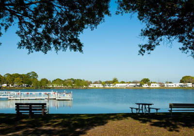 Orlando City Sightseeing Tours 2