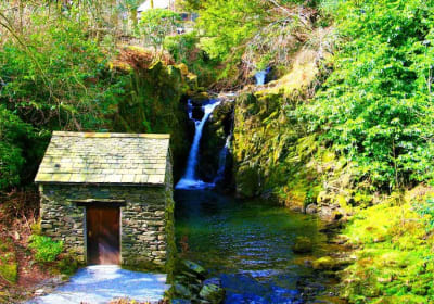 William Wordsworth: Morning Half Day Tour with an Expert Guide 2