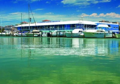 The Legacy of Winter the Dolphin & Clearwater Beach day, optional lunch 2