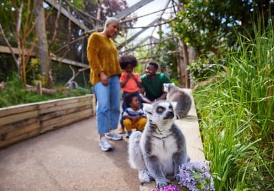 London Zoo Entry Ticket  2