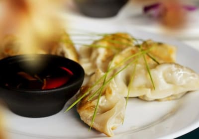 Asian Dumplings &amp; Dim Sum in NYC 2
