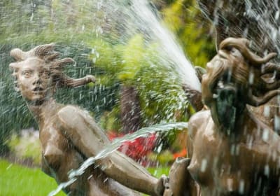 Private Tour: Regent's Park Photography Tour 2