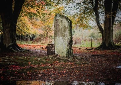 Glen Affric & Culloden Tour from Inverness Including Admissions 2