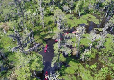 Manchac Swamp Kayak Small-Group Tour 2