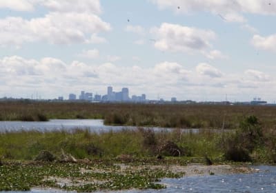 Self Guided Kayak Bayou Swamp Tour 2