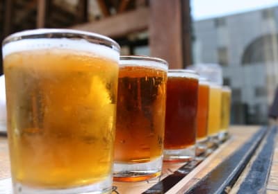 Sip of Pittsburgh Guided Brewery Tour 2