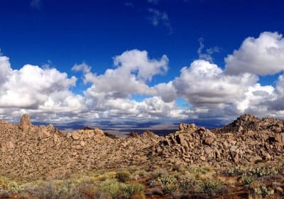 Iconic Tom's Thumb Hiking Adventure in Scottsdale 2