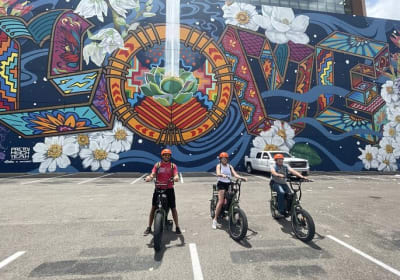 2hr JFK Assignation Talking E-Bike Digital Tour - Ride The Route 2