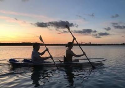 Sunset Clear Kayak or Clear Paddleboard in Orlando 2
