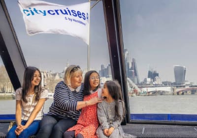 London Westminster to Greenwich Single Cruise Ticket 2