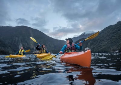 From Manapouri: Doubtful Sound Overnight Cruise 2