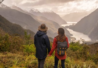 From Queenstown: Premium Doubtful Sound Wilderness Day Trip 2