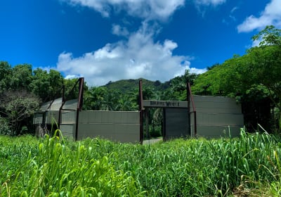 Jungle Expedition Tour  2