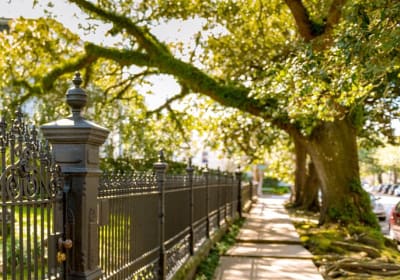 New Orleans Small Group Garden District History and Architecture Tour  2