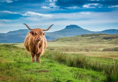 Loch Lomond & Trossachs National Park Tour with 2 Great Walks starting Glasgow 2