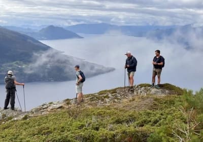 From Voss: Full-Day Scenic Mt. Oksen Fjord Hike 2
