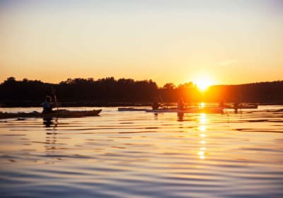 Vaxholm: Stockholm Archipelago Sunset Kayaking Tour and Fika 2